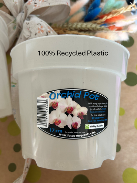 Clear Orchid Pots and Saucer | Plantopia - The Plant Shop