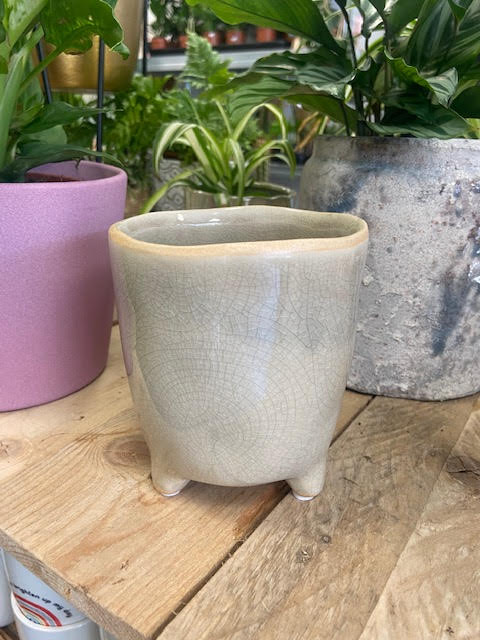 The range shop plant pots