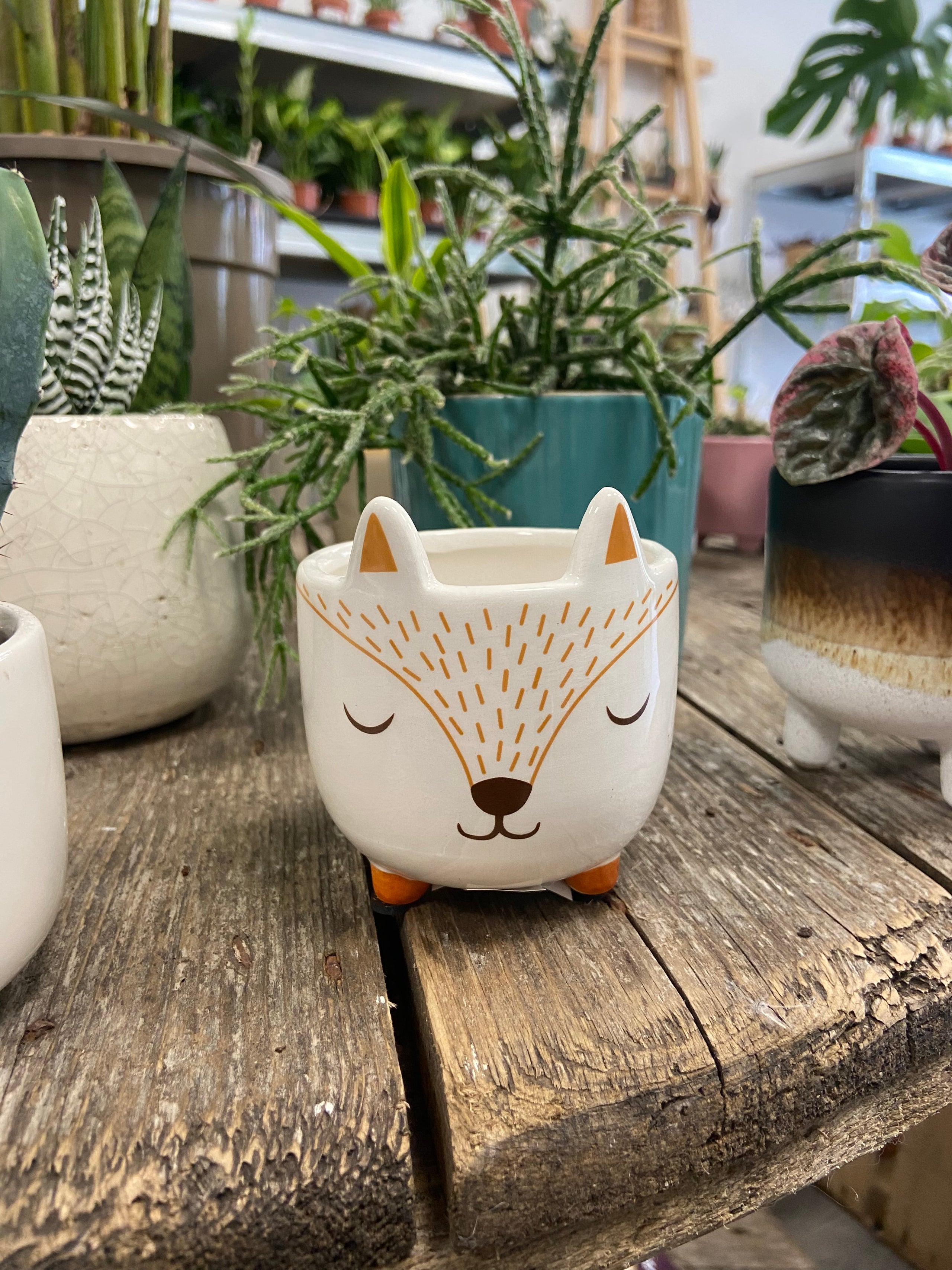 Mini flox sales
