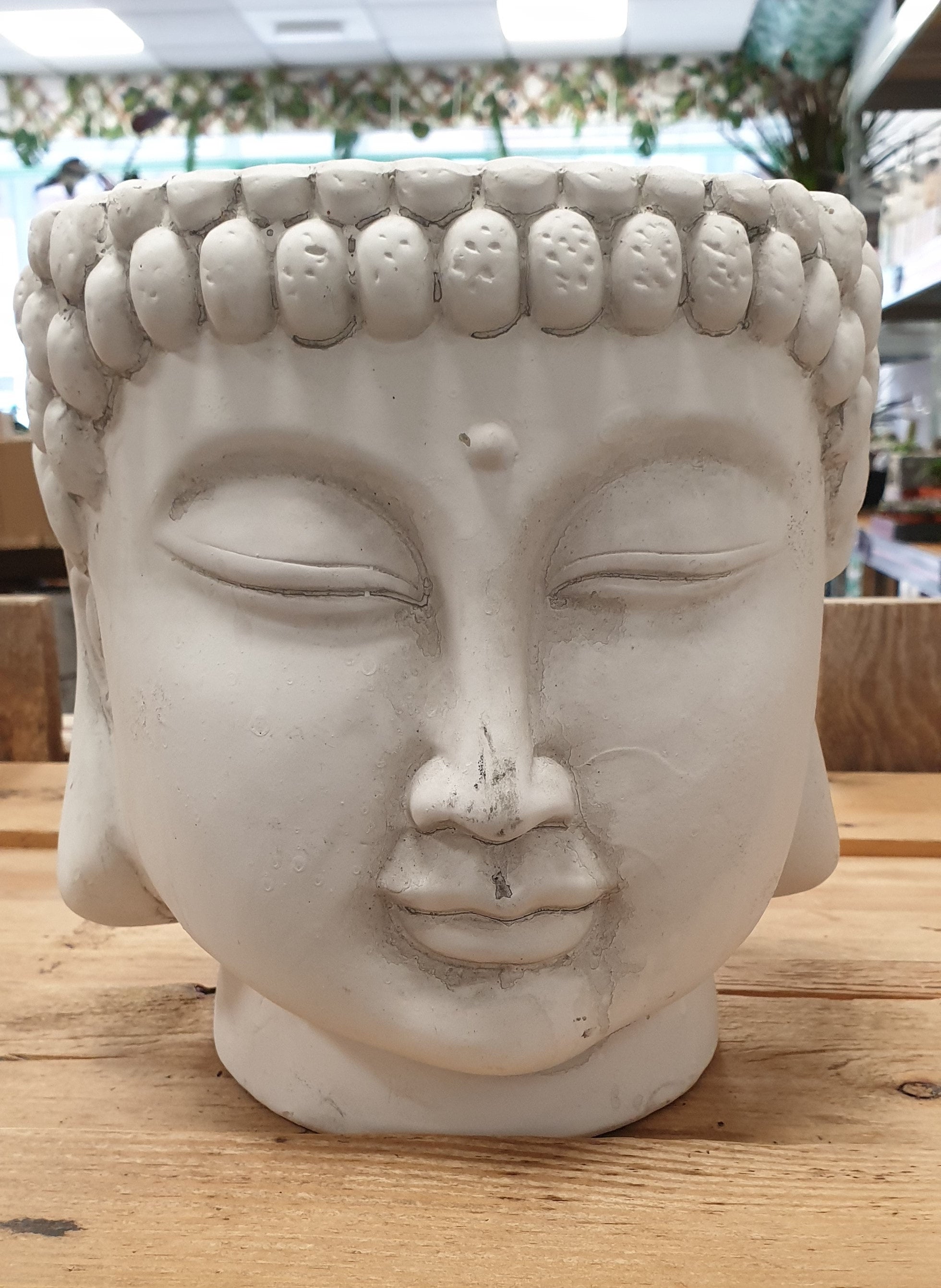 Buddha Head Planter 20cm Plant Pot Buddha